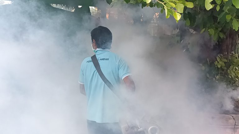 Kasus DBD Melonjak di Sumenep, Sejak Januari 178 Warga Positif