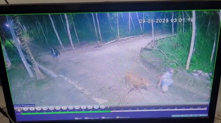 2025-06-03-19-08-16-02