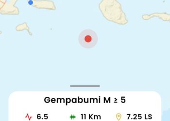 Gempa 6,5 Magnitudo Guncang Sumenep, BMKG Pastikan Tak Berpotensi Tsunami