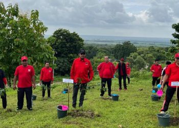 PDI Perjuangan Sumenep tanam pohon, upaya nyata menjaga keseimbangan lingkungan