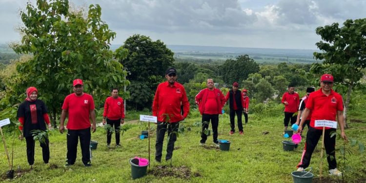 PDI Perjuangan Sumenep tanam pohon, upaya nyata menjaga keseimbangan lingkungan